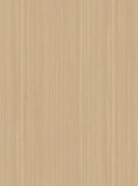 ASU-14097-DN74